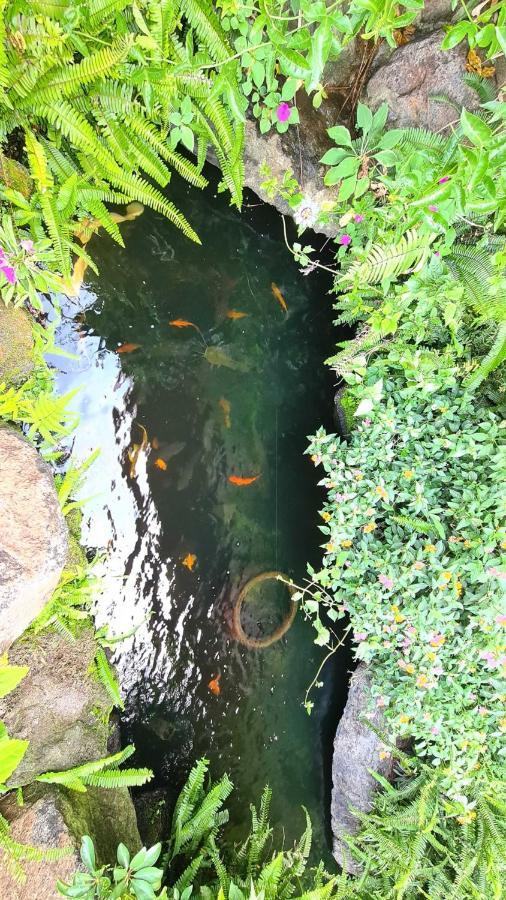 An Nhien Villa باو لوك المظهر الخارجي الصورة